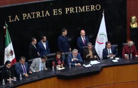Diputados y senadores de Morena, PT y Verde manifiestan respaldo a Sheinbaum