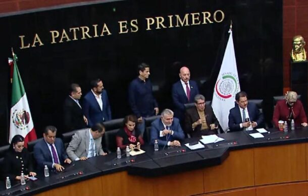 Diputados y senadores de Morena, PT y Verde manifiestan respaldo a Sheinbaum