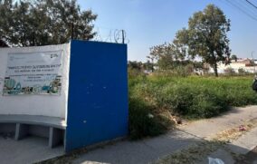 Terreno baldío pone en riesgo a preescolar en Tonalá