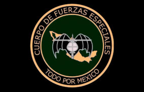 Ejército envía tropas élite “Murciélagos” a Tierra Caliente