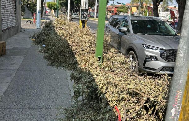 Podan árboles y abandonan las ramas en Rinconada La Calma