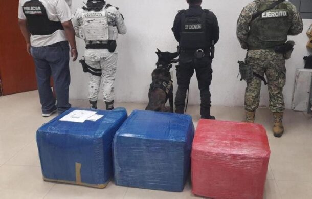 Aseguran 150 kilos de mariguana en empresa de mensajería de Playa del Carmen