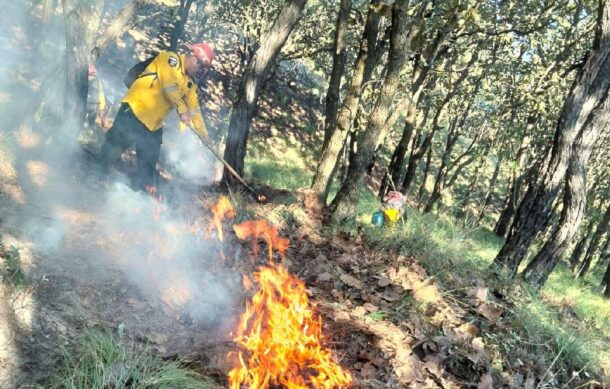 Arranca periodo de estiaje en Jalisco con prevención de incendios forestales