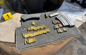 Aseguran rancho con armas y animales exóticos en Arandas