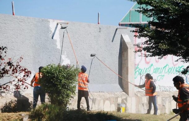 Realizan Macrobrigada de limpieza en lomas del sur