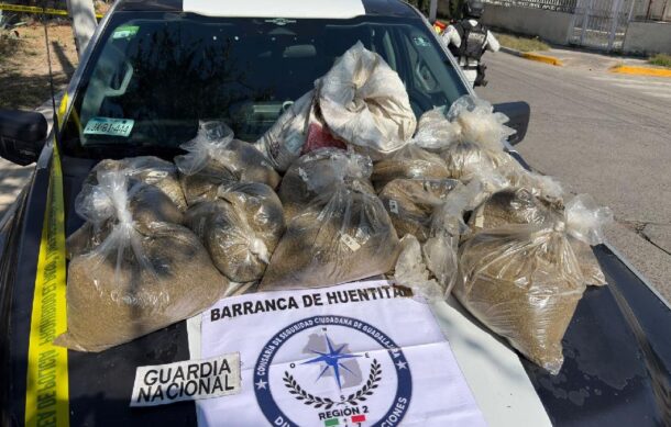 Localizan marihuana abandonada en la colonia Autocinema