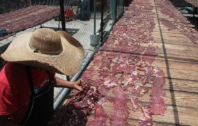 Morelos celebra denominación de origen de la cecina de Yecapixtla