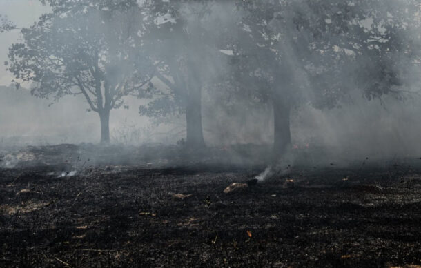 Controlan incendios forestales en Tlajomulco y Tala