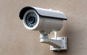 Indigna en Tonalá presunto atropellamiento intencional de un perro