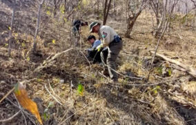 Localizan sin vida a joven desaparecido en la Barranca de Huentitán