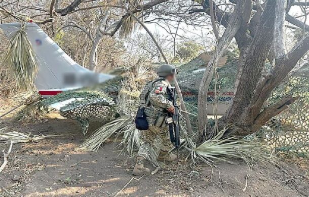 Decomisan más de media tonelada de droga en Oaxaca