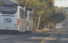 Se restablece de forma gradual el transporte público en la ZMG