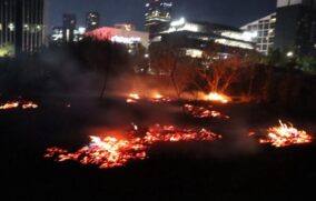 Controlan incendio de pastizal en Acueducto y Patria