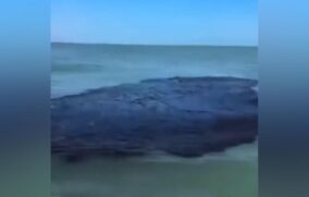 Denuncian regreso de hidrocarburo a playas de Tabasco