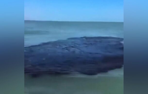 Derrame de petróleo se expande a 630 km en el Golfo de México