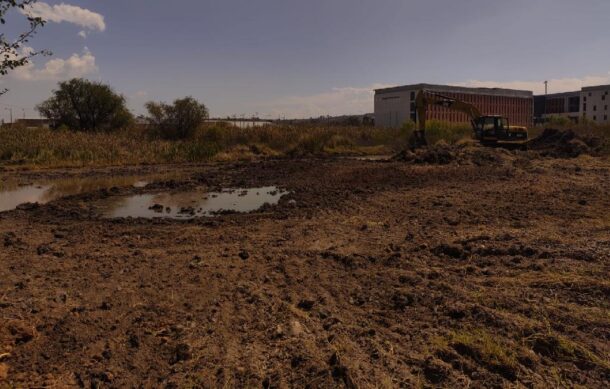 UdeG niega afectaciones al humedal Las Rucias por obras en CuTonalá