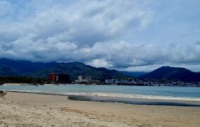 Activan bandera roja en Playa del Holly por riesgo marítimo y fauna