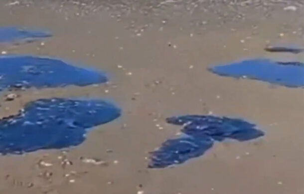 Greenpeace reporta más de 600 kilómetros de contaminación en el litoral mexicano