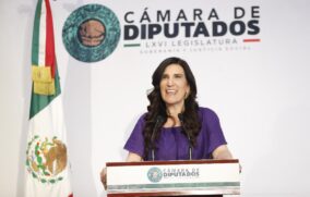 El pueblo no quería la reforma electoral, dice López Rabadán, de cara al Plan B