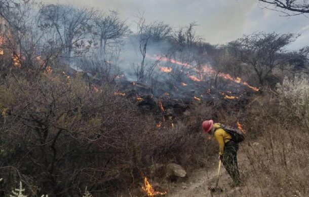Lluvias recientes no inhiben posibilidades de más incendios forestales: especialista