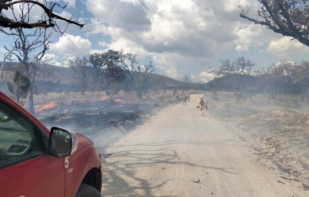 Jalisco lideró incendios forestales en 2025 pese a menor superficie afectada