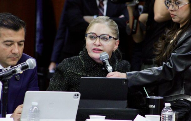 Avanza en el Senado el Plan B entre críticas de la oposición