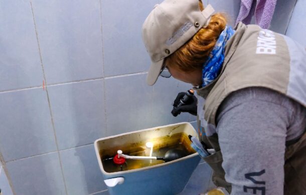 Llaman a eliminar criaderos de mosquitos para prevenir dengue en vacaciones