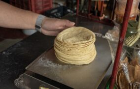 Sheinbaum se reunirá con harinera para evitar alza en precio de la tortilla