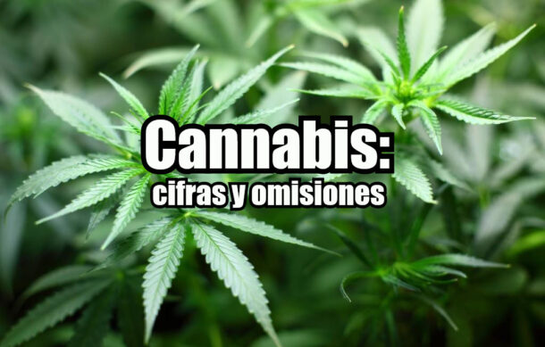 Cannabis: Cifras y omisiones
