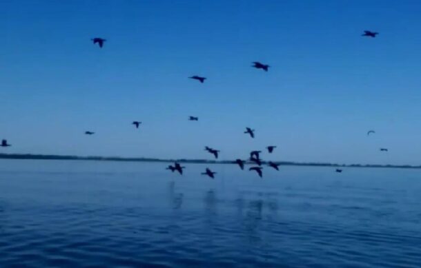 Denuncian fuga de hidrocarburo en Minatitlán, Veracruz