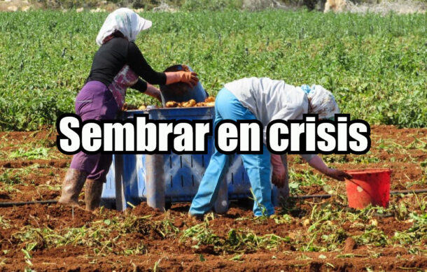 Sembrar en crisis