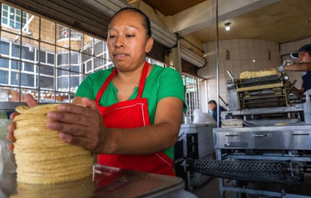 Aunque aumentan los insumos, no hay aumento generalizado en el precio de la tortilla: experto