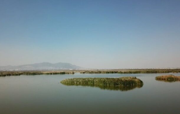 Corte valida decreto que declara al Lago de Texcoco como área natural protegida