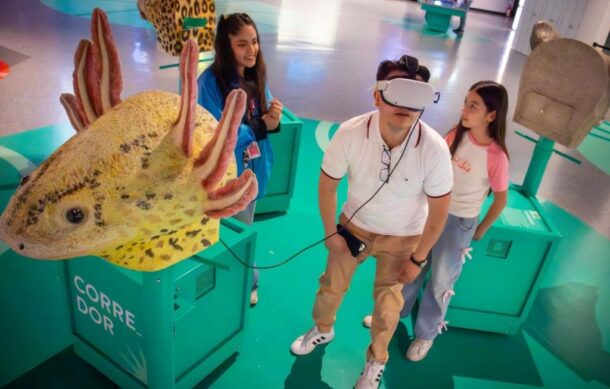 El Museo JAPI celebrará el Día del Niño con múltiples actividades