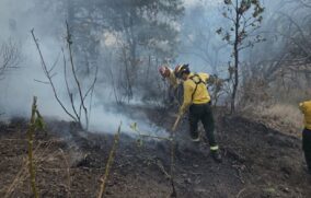 Combaten incendio forestal cerca del Bosque La Primavera