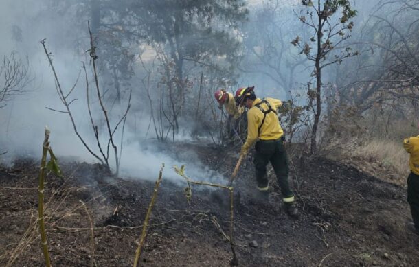 Controlan incendio en La Primavera; afectó media hectárea