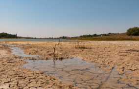 ONU alerta posible regreso de “El Niño” en 2026