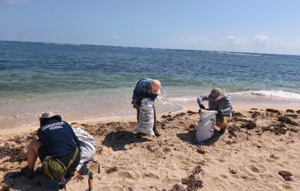 Recuperan 889 toneladas de hidrocarburo en Golfo de México