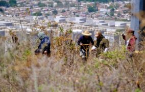 Hallan restos óseos en operativo de búsqueda en el Cerro del Cuatro