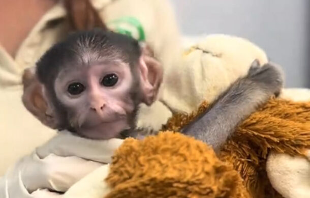 Entrevista con Luis Soto