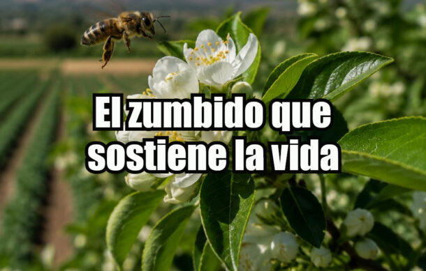 El zumbido que sostiene la vida