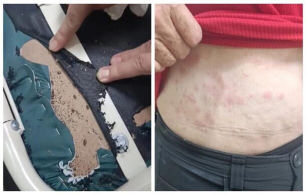 Denuncian plaga de chinches en el Centro Médico de Occidente