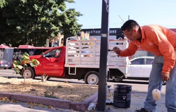 Sancionan a 14 negocios por violar el reglamento en GDL