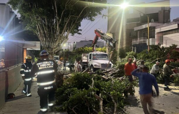Tormenta local severa deja afectaciones en GDL y Zapopan