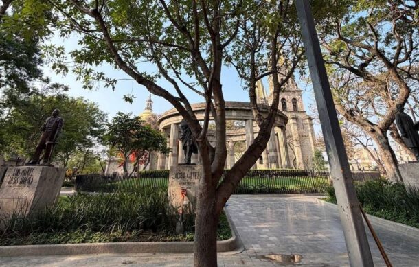 Guadalajara sustituye árbol caído en la Rotonda de los Jaliscienses Ilustres