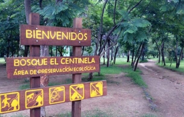 Declaran Área Natural Protegida al Bosque El Centinela y Cañadas de San Isidro