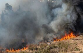 Verónica Delgadillo descarta cambios de uso de suelo en Bosque Los Colomos