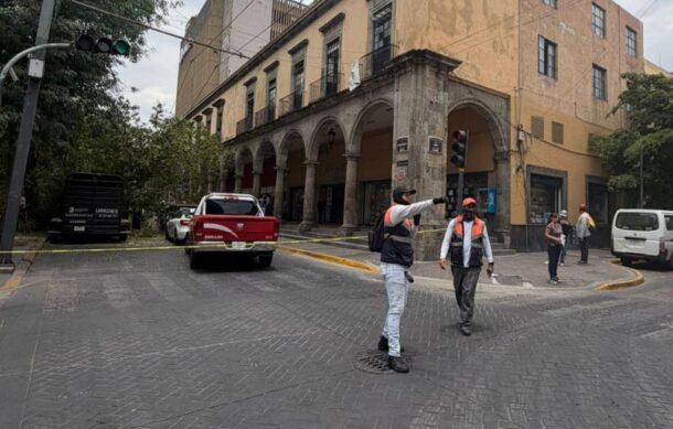 Cae árbol de 15 metros junto a la Rotonda de los Jaliscienses Ilustres