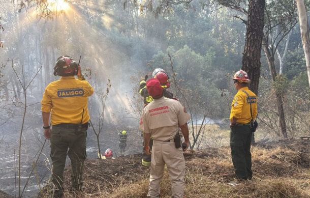 Controlan incendio forestal en la zona de Colomos II