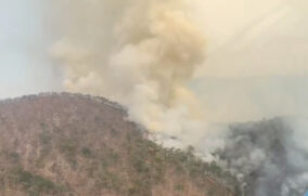 Combaten incendio forestal en sierra entre Magdalena y Hostotipaquillo